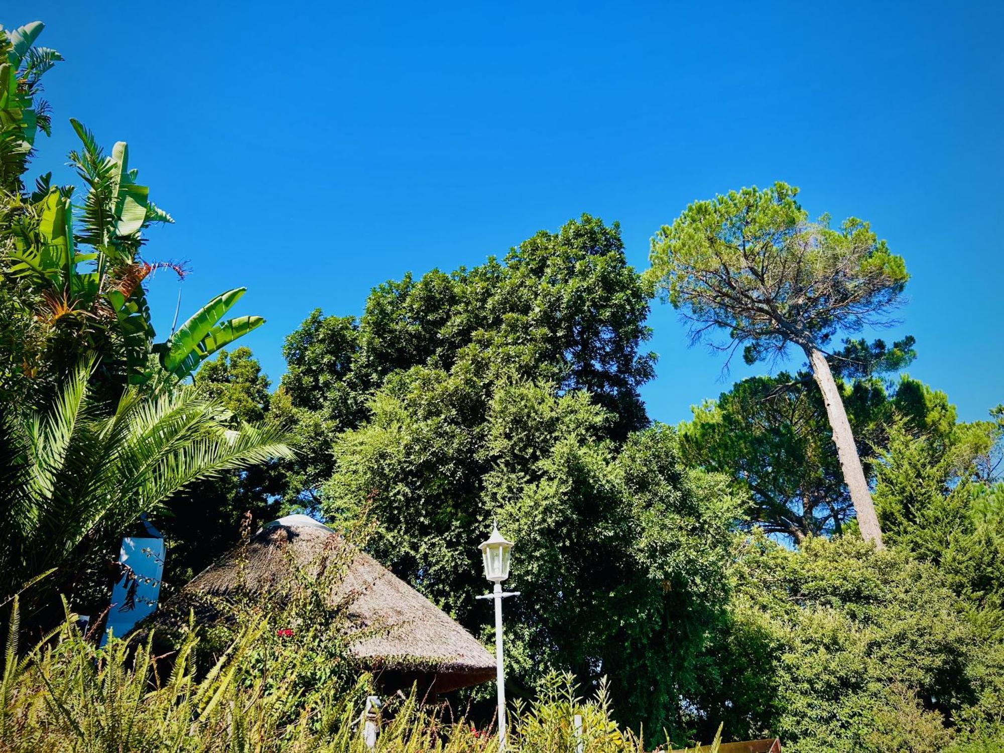 Villa Helderberg Somerset West Eksteriør billede